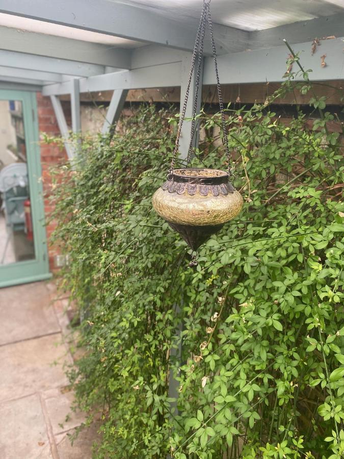 The Dragonfly Bnb, *